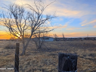 1726 W Palomino Dr, Taylor, AZ 85937