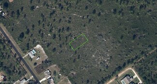 611 Bottlebrush Ave, Lake Placid, FL 33852