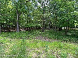 818 E Old Stage Rd, Penn Forest Township, PA 18210