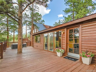 226 Bandit Ln, Bailey, CO 80421
