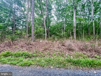 0 Oak Ln Unit VAPA2005118, Luray, VA 22835