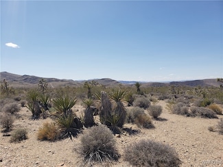 3 ACRES La Crescenta Dr, White Hills, AZ 86445