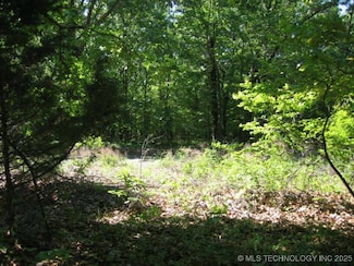 19 W Arrow Wood Rd, Cookson, OK 74427