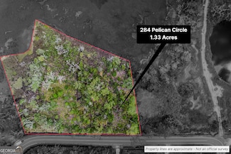 284 Pelican Cir, Woodbine, GA 31569