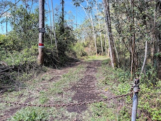 0 37th Ave Unit 721677, Keaau, HI 96749