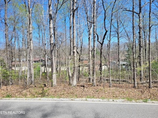 133 Ivy Brook Ln, Crossville, TN 38558