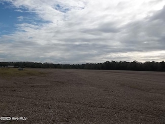 271 Old Swamp Rd, South Mills, NC 27976