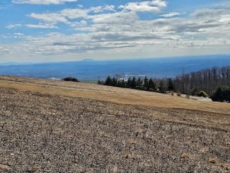 Lot#2 Cabin Ridge Trail, Fancy Gap, VA 24328
