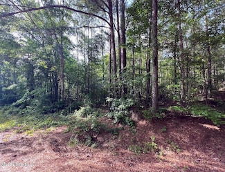 916 Virgin Mary Rd, Camden, MS 39045