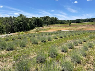 353 County Road 170, Athens, TN 37303