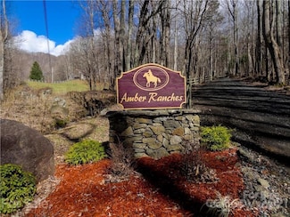 TBD Nicholas Knoll Rd, Bakersville, NC 28705