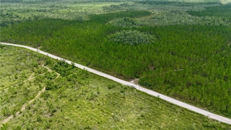 0 Fire Tower Rd, Manor, GA 31550