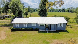 51 Leaf River Dr, Soso, MS 39480