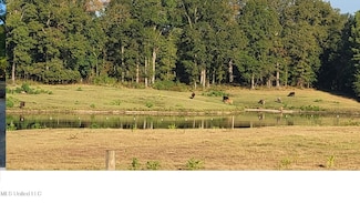 0 I-55 South Frontage Rd Unit 4131586, Terry, MS 39170