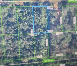 234 Swift Ave, Sebring, FL 33870