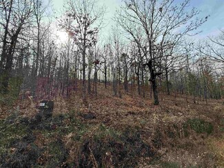 Tract 93 Vernon Ct, Austin, AR 72007