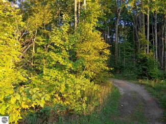 0 Blackberry Ln Unit 5,6&7 1842243, Alba, MI 49611