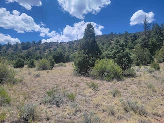 1287 Bear Creek Cir, South Fork, CO 81154