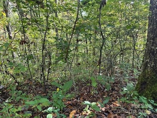 H16-H17 Shady Grove Rd, Tuckasegee, NC 28783