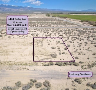 4161 Bailey Ave, Pahrump, NV 89048
