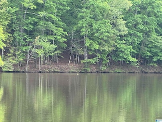 Lot 1 Hicks Bend Ct Unit 1, Wedowee, AL 36278