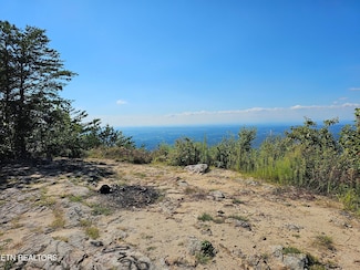 2820 Dupont Springs Rd, Sevierville, TN 37876