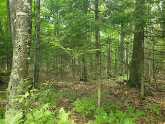 Lot 9 S Buck Ridge Dr, Sugar Camp, WI 54521