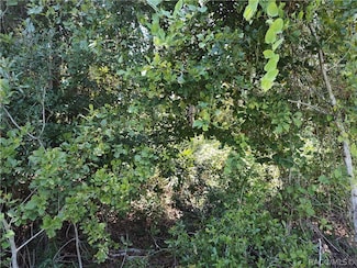 0000 NE 65th Ct, Citra, FL 32113