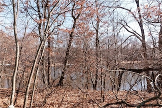 XXX 4 1 2 Ave, Sioux Creek Township, WI 54728