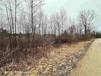4019 Bay Ave, Beaverton, MI 48612