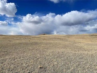 305 Badger Ln, Hartsel, CO 80449