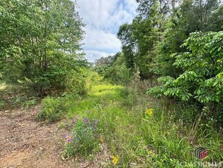 0 Noah Crow Rd Unit 1017020, Royston, GA 30662