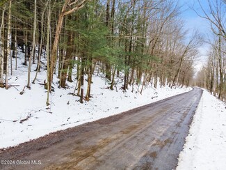 L32 Alvord Rd, East Worcester, NY 12064
