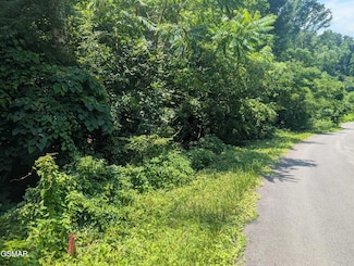 0 Beech Branch Rd Unit 307390, Gatlinburg, TN 37738