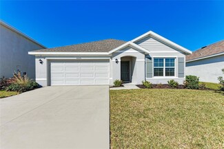 12226 Kingsley Trail, Parrish, FL 34219