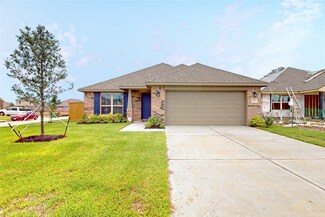 19714 Veneto Point Ln, Hockley, TX 77447