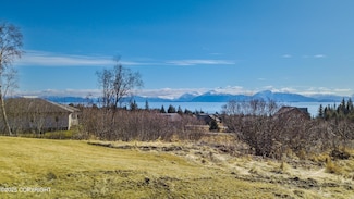 3834 Tajen Ln, Homer, AK 99603