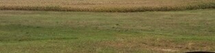 00000 Woodburn Rd, Woodburn, IN 46797