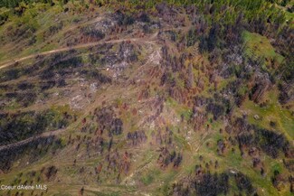 NKA E Bridges Rd, Elk, WA 99009