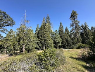 42346 Cook Cabin Ln, Shaver Lake, CA 93664