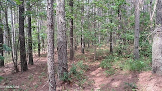 0, Rockwood, TN 37854