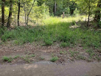 TBD Willow Point Marina Rd, Lone Star, TX 75668