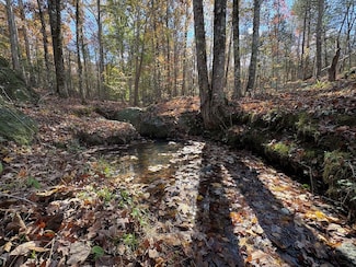 0 S Main St Unit LotWP001, Abbeville, SC 29620