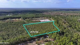 3 Chesser Hammock Rd, Pierson, FL 32180