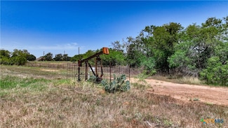 2318 Warncke Rd, La Vernia, TX 78121