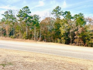 00 Martin Luther King Junior Expy, Carolina, AL 36420