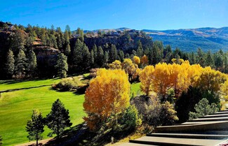314 N Tamarron Dr Unit 416/417, Durango, CO 81301