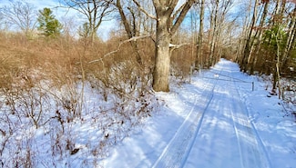 4456 N Evergreen Dr, White Cloud, MI 49349