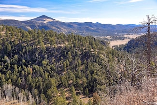 292 Chateau West Dr Unit 55054116, Florissant, CO 80816
