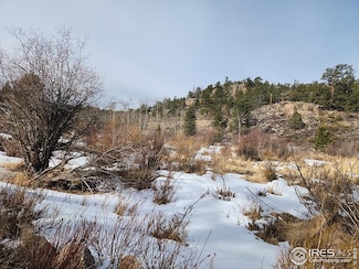151 Ada Ct, Red Feather Lakes, CO 80545
